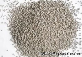 飼料 現代農業的基石與未來挑戰